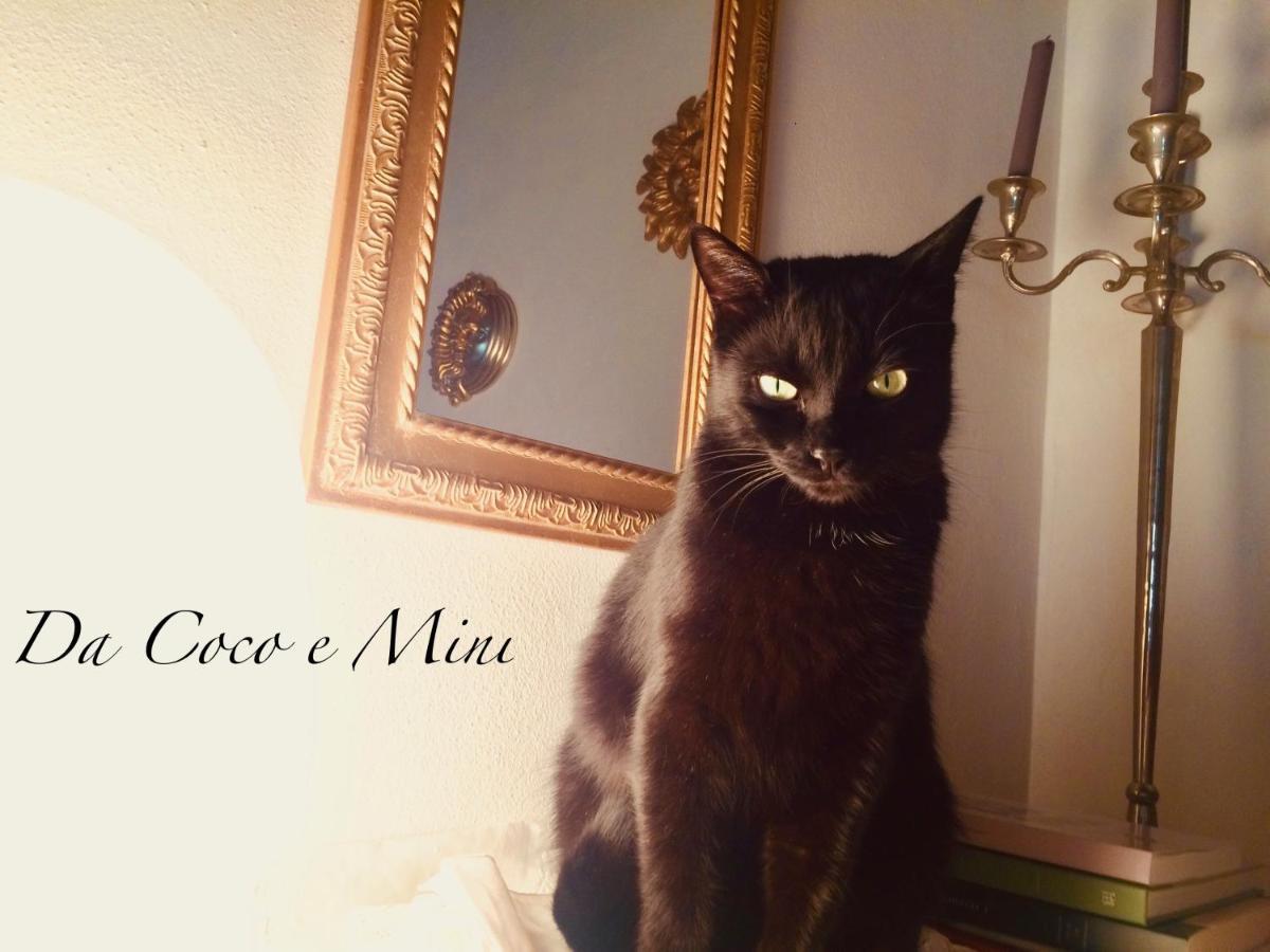 Da Coco E Mini,L'Angolo Per Ceramiste In Viaggio - Faenza Exteriör bild