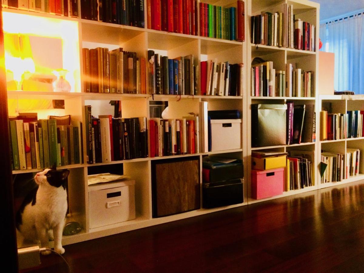 Da Coco E Mini,L'Angolo Per Ceramiste In Viaggio - Faenza Exteriör bild