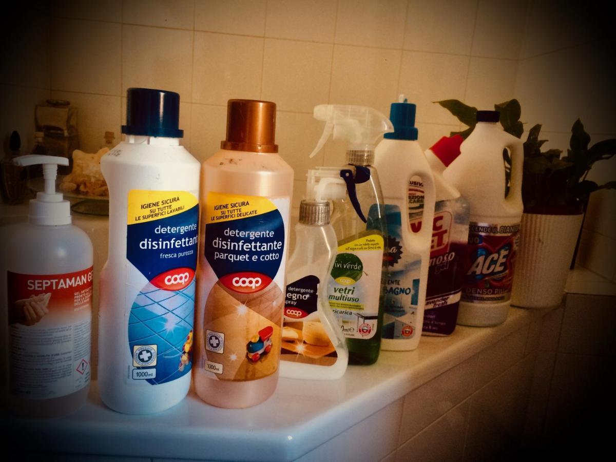 Da Coco E Mini,L'Angolo Per Ceramiste In Viaggio - Faenza Exteriör bild